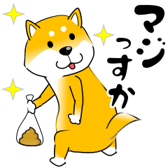 真・激しく尻尾をふる柴犬