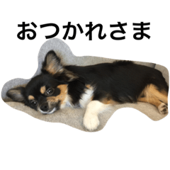 ピピィとシシィ