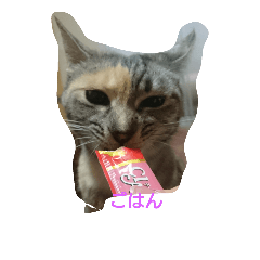 えのきさんの日常