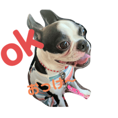 まつくん︎︎☺︎