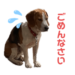 稲佐の大吉くん