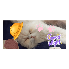 ポッケのスタンプパート1