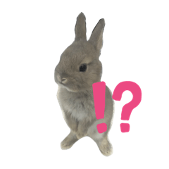 仙太郎すたんぷ