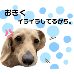 おきくスタンプ★