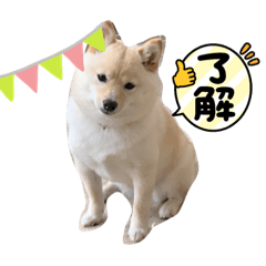 まるちゃんおひとり様