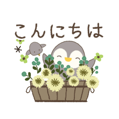 ぺんちゃん✨✨