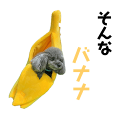 ビビレオすたんぷ第四段(2022ver)