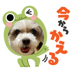 最強になかよし