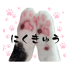 ミュウとの日常 2.5