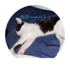 ちょりんスタンプ