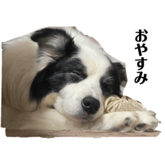 ちろたんの気まぐれ①