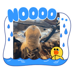 みーちゃんの日常(笑)