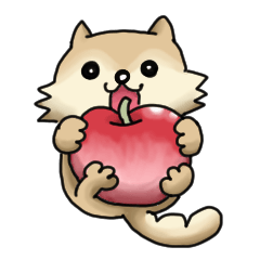 スーパー柴犬ちゃん 3