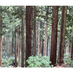 山景色　スタンプ２