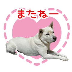 K様のスタンプ..