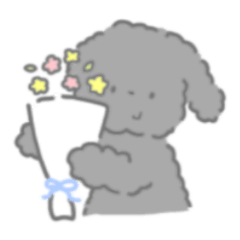 トイプードル　のあくん 1