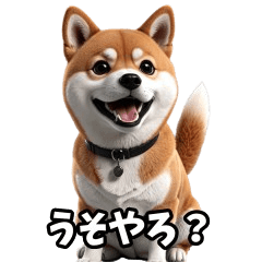 なにわの柴犬