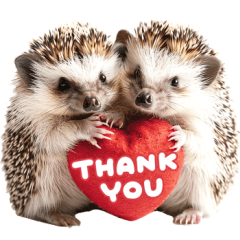 かわいい♡ハリネズミ