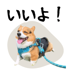 コーギー・まいろの便利な家族用スタンプ