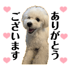 MiiのAMOちゃん♡