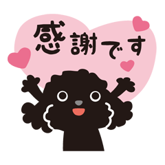 黒トイプードル_毎日ほのぼの