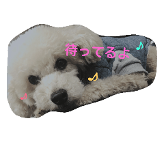 モコとコロのスタンプ