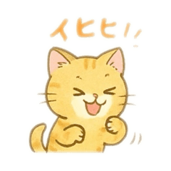 かわいい仔猫の日常会話1