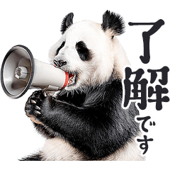 敬語リアルなパンダミーム（やさしい日常）