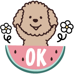 トイプー♡ずっと使える夏