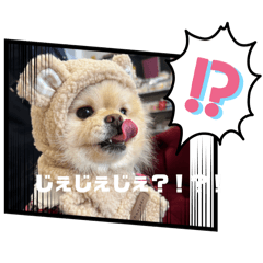 おこげりん方言バージョン