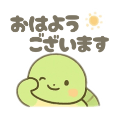 リクガメのご挨拶