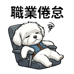 Office Maltese: Daily Work Life 2