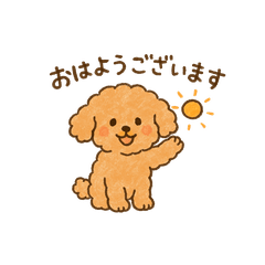 かわいいトイプードルの日常会話スタンプ