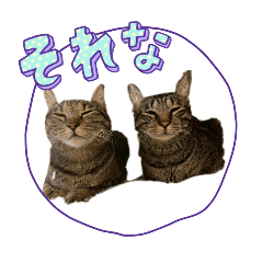 うちの家族ですわ