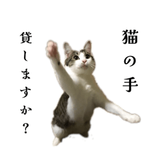 さまざま感情に揺れるすいちゃん