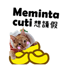 (Indonesia) Anything is fine- 1-4-554