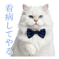 看病してやらんこともない白猫様