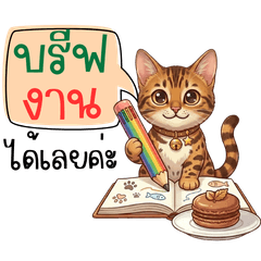 Bengal Freelance Life