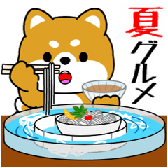 飛び出す！豆柴「夏のグルメ」