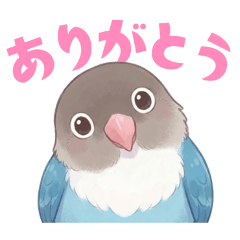 ボタンインコ【ブルー】