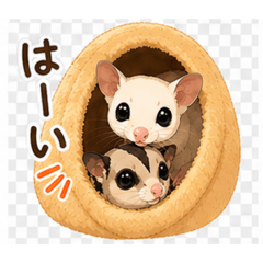 フクロモモンガ仲良しお話し