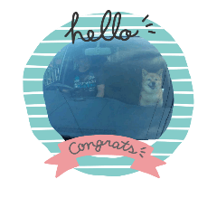 いろいろのこと