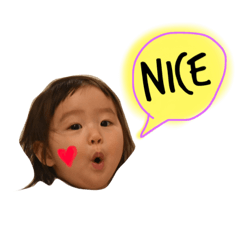 すみれのまいにち