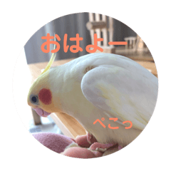 すず♂toろこ♀①