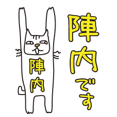 ばんざい猫 陣内用