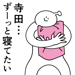 寺田は幸せです。春です。