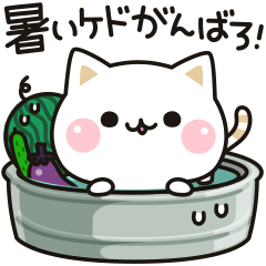 気づかいのできるネコ♪ 動く夏編