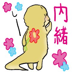 大好きなフトアゴヒゲトカゲ－2nd-