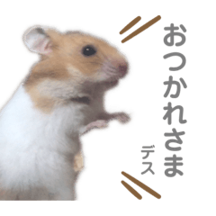 アイアムオデン。3