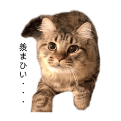 むぅの日常会話♡